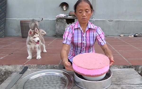 Theo đó sau khi đã hoàn thành chiếc bánh, do mải mê giới thiệu thành quả của mình, bà Tân đã không để ý đến chú cún cưng của con trai Hưng Vlog đang nô đùa ở sau lưng.