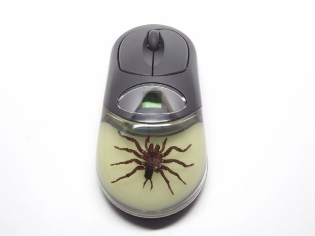 Bên trong những chiếc Tarantula Spider Grow Mouse là những chú nhện thật sự. Ý tưởng kỳ lạ này có lẽ bắt nguồn từ một fan cuồng của Spider Man, được biết con chuột này có giá tới 34.99$.