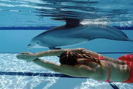 Ngoài ra, công ty công nghệ này cũng là bên đưa các sinh vật trong các bộ phim bom tấn của Hollywood như “Free Willy”, “Deep blue sea” và “Anaconda” lên màn ảnh rộng.