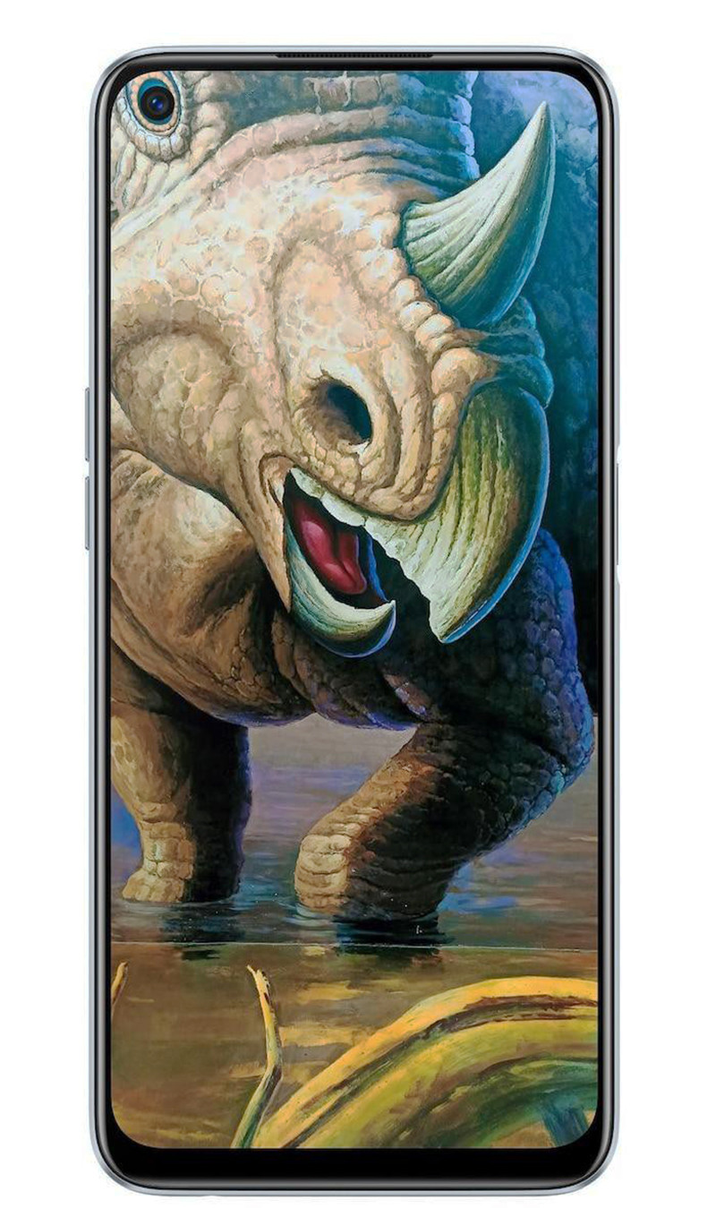 Không thua kém cộng đồng samsung, phía Realme 6 cũng có hàng loạt hình nền ấn tượng khoả lấp nốt ruồi camera trên màn hình.