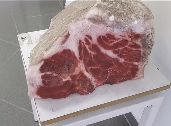 Đừng lầm tưởng đây là thịt bò lớn tươi ngon, bởi nó chỉ là một tảng đá mà thôi