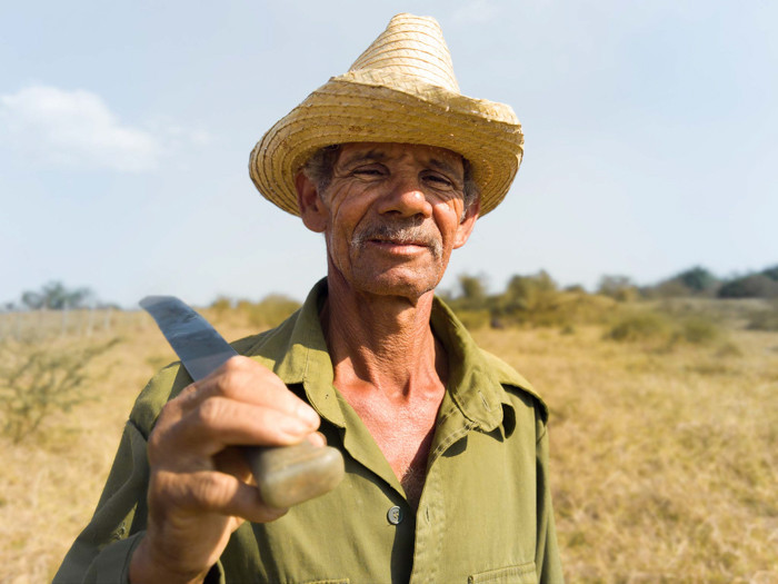 Hình chụp thử từ L16 cho ra chất lượng rất tốt vè độ nét, tương phản và nổi khối bởi sự kết hợp, phân tích, tổng hợp từ 16 camera.