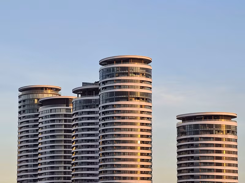 S20 + zoom ~50X, xử lý bóng sáng tốt, chi tiết và tương phản màu tốt. (Ảnh: Nguyễn Phúc Lộc)