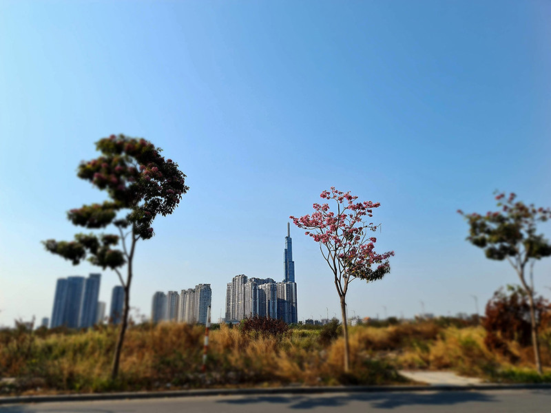 S20 Ultra còn rất bá đạo với góc siêu rộng. (Ảnh: Nguyễn Phúc Lộc)