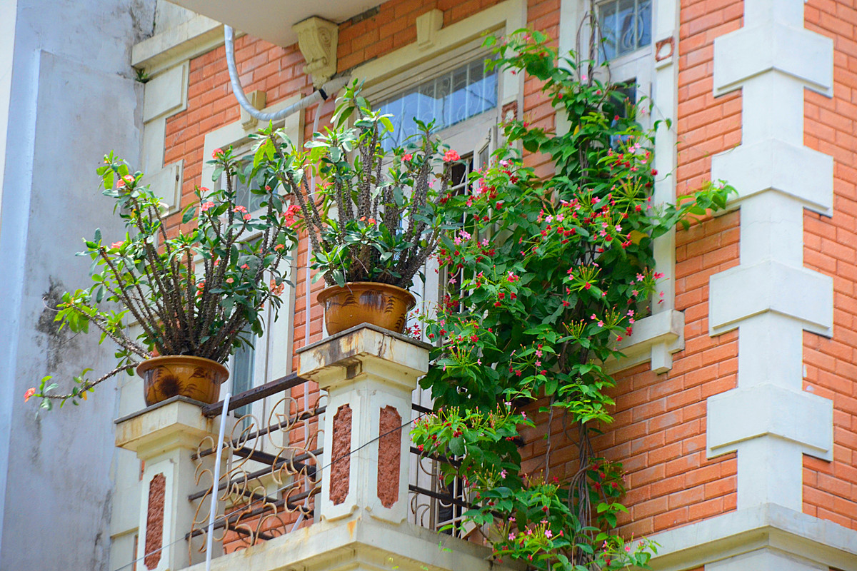 Sự kết hợp hài hòa giữa bức tường gạch đỏ và bụi, chậu hoa nhỏ đem tới vẻ sinh động cho ngôi nhà.