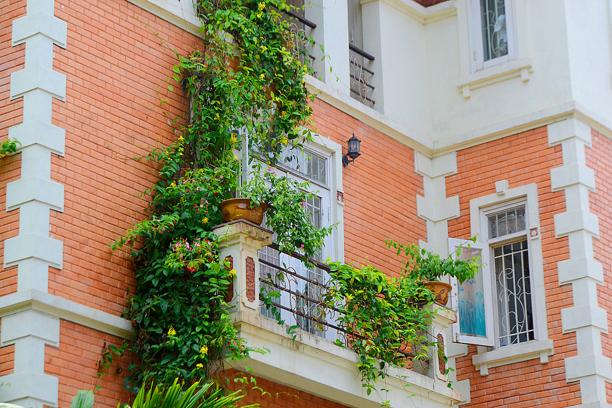 Không chỉ có tác dụng làm dịu đi cái nóng bức của mùa hè nhiệt đới, các cây xanh, cây dây leo hay những loại hoa còn khiến căn biệt thự mang vẻ cổ kính lạ mắt.