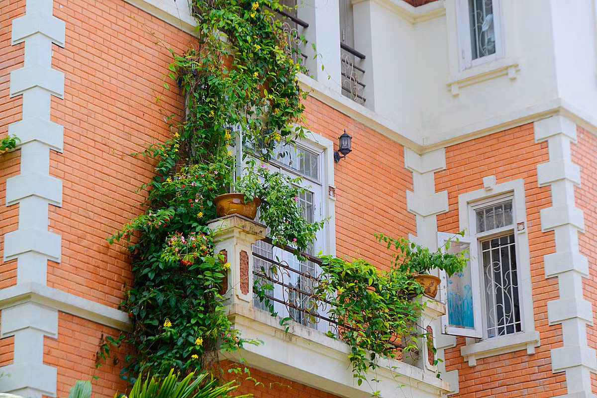 Không chỉ có tác dụng làm dịu đi cái nóng bức của mùa hè nhiệt đới, các cây xanh, cây dây leo hay những loại hoa còn khiến căn biệt thự mang vẻ cổ kính lạ mắt.