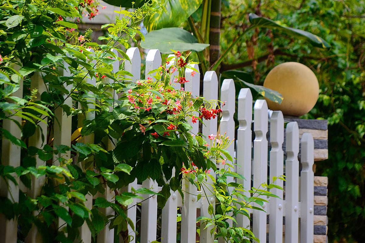 Những chùm hoa giun đỏ, hồng đem lại màu sắc vô cùng bắt mắt.