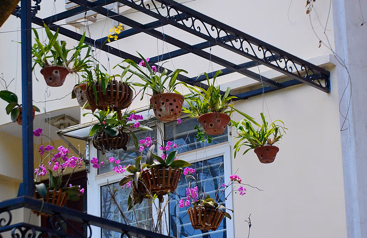 Những giỏ lan tuyệt đẹp khiến ngôi nhà càng trở nên xinh xắn.