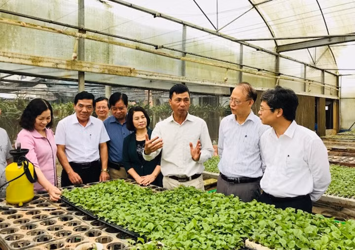 Dau an cua cac to chuc KH&CN truc thuoc VUSTA nam 2023-Hinh-3