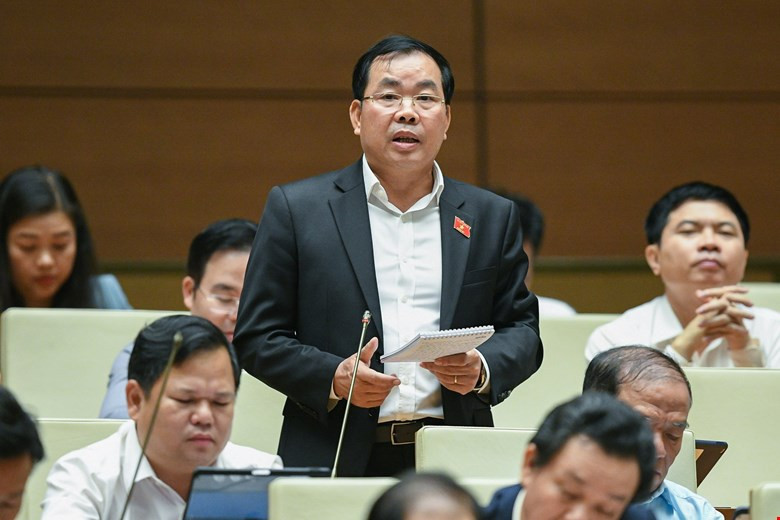 DBQH: Sua Luat Dat dai can mo duong cho nguon cung nha o-Hinh-2