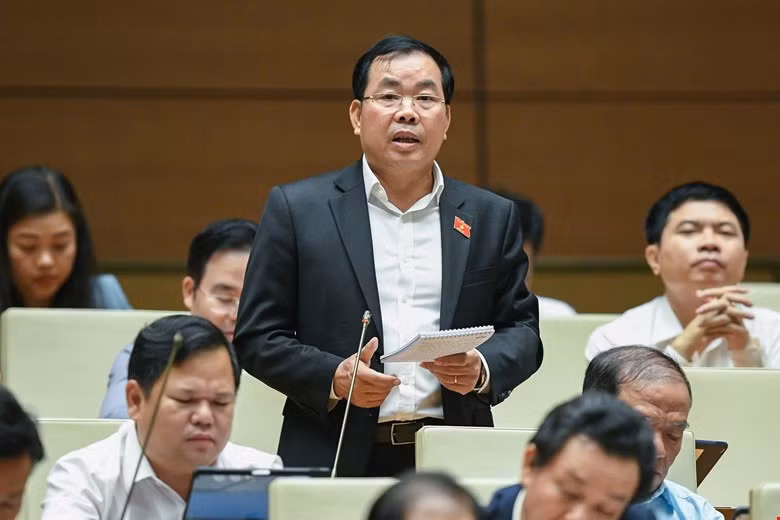 DBQH: Sua Luat Dat dai can mo duong cho nguon cung nha o-Hinh-2