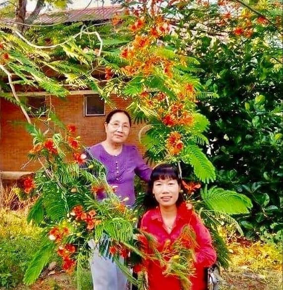 Huynh Thi Xam: Nghi luc cua nu hoa si ve tranh bang chan-Hinh-3