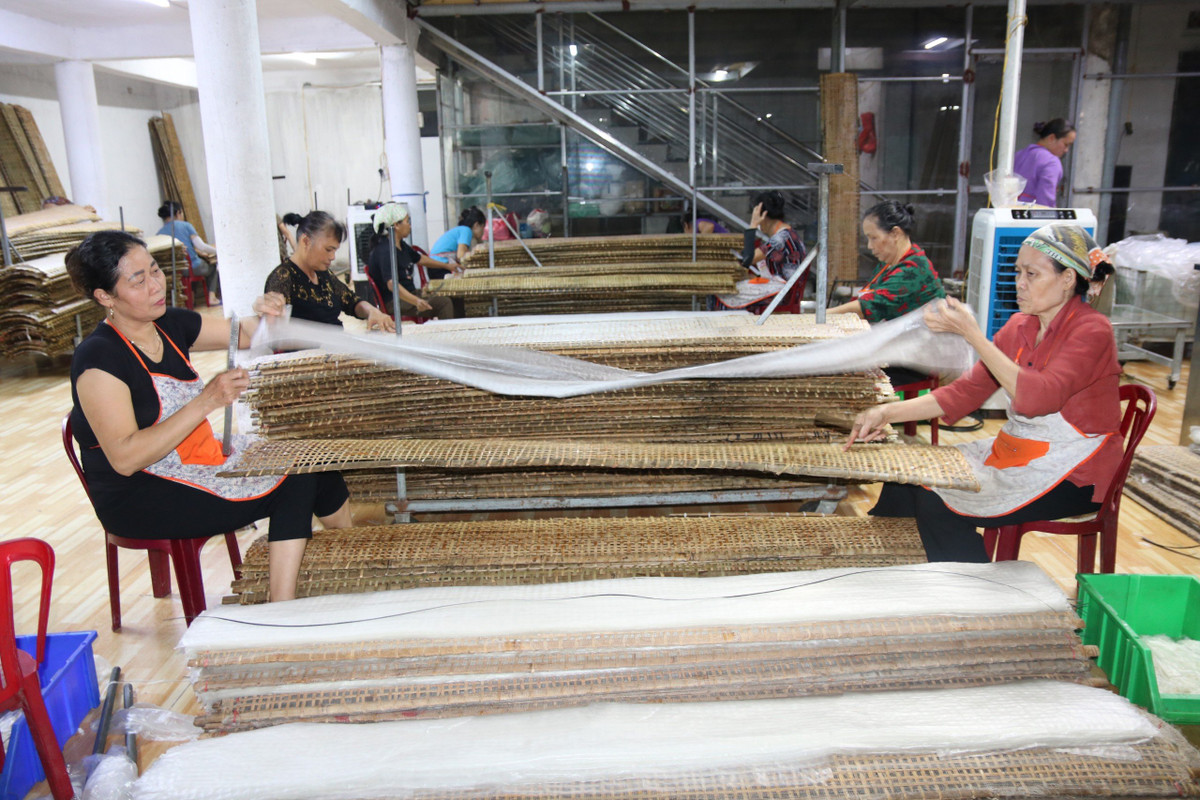 CEO Nguyen Van Dinh: “Ho bien” hat gao Viet vuon tam the gioi-Hinh-5