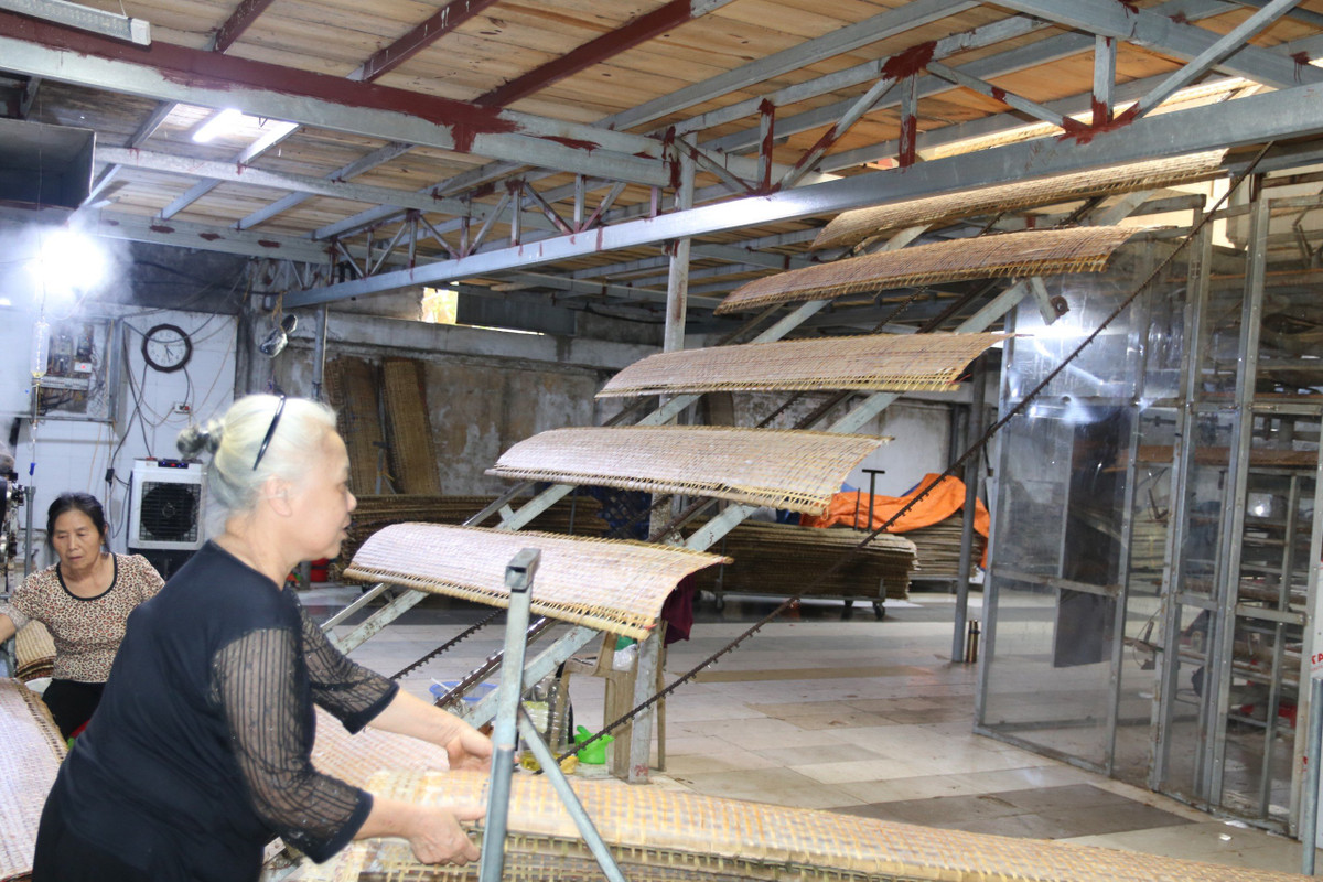 CEO Nguyen Van Dinh: “Ho bien” hat gao Viet vuon tam the gioi-Hinh-3