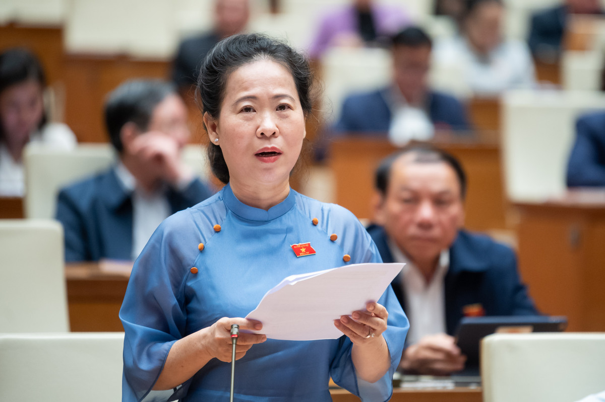 Nhat tri phan bo hon 2.526 ty dong cap dien luoi cho Con Dao