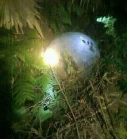 7. "Vật thể lạ" hình cầu tiếp tục rơi xuống Tuyên Quang Khoảng 18h tối 12/1, người dân thôn Pù Đồn đã phát hiện một vật thể lạ rơi tại khu vực đất của gia đình ông Ma Văn Thắng (thôn Pù Đồn, Minh Quang, Chiêm Hóa, Tuyên Quang). Theo ghi nhận ban đầu, vật thể lạ này có hình cầu, giống với một số vật thể lạ đã rơi ở Tuyên Quang và Yên Bái hôm 2/1. Hiện các cơ quan chức năng của huyện Chiêm Hóa đang tiếp tục làm rõ.