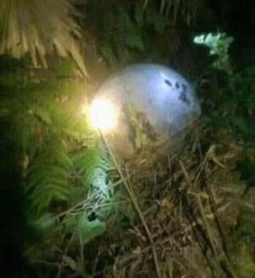 10 su kien nong ham hap du luan VN trong tuan (98)-Hinh-7