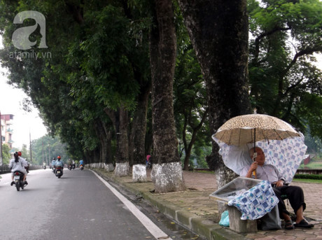 2. Sẽ chặt hạ, di chuyển hàng xà cừ đẹp nhất Hà Nội cạnh hồ Thủ Lệ sau Tết Sáng 12/1, Ban quản lý dự án đường sắt đô thị Hà Nội công bố phương án đánh chuyển và chặt hạ cây xanh phục vụ thi công hai nhà ga trên tuyến đường Cầu Giấy, Xuân Thủy của tuyến tàu điện Metro Nhổn - Ga Hà Nội.Theo đó trong thông báo thì đáng chú ý nhất có 24 cây xà cừ cổ thụ dọc hồ Thủ Lệ sẽ được chặt hạ hoặc di chuyển vào thời gian tới. Công ty Công viên Cây Xanh Hà Nội sẽ thực hiện nhiệm vụ này từ ngày 15/1.