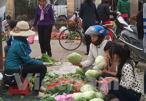 8. Sở GD-ĐT Hà Nội lên tiếng vụ tuồn rau bẩn vào trường học Sáng ngày 14/1, Đội 4 Phòng cảnh sát môi trường Công an Thành phố Hà Nội đã phối hợp với lực lượng thanh tra Sở Nông nghiệp Hà Nội phát hiện hàng trăm kilôgam rau củ quả và thịt không rõ nguồn gốc đang vận chuyển vào 7 trường mầm non và tiểu học khu vực quận Tây Hồ, Hà Nội. Các thực phẩm này của Công ty Trung Thành, được công ty thu gom từ chợ đầu mối Vân Nội, Đông Anh, sau đó sơ chế và “đội lốt” thực phẩm sạch để cung ứng cho các nhà trường. Theo ông Nguyễn Hiệp Thống, Phó Giám đốc Sở Giáo dục và Đào tạo Hà Nội: “Trong vụ việc này, nhà trường cũng chỉ là nạn nhân.”