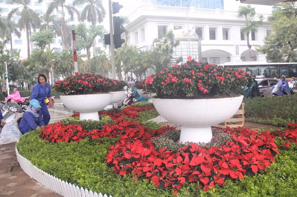 Tại gầm cầu vượt Liễu Giai – Kim Mã, các công nhân đang cắt tỉa, đặt lại vị trí hoa.