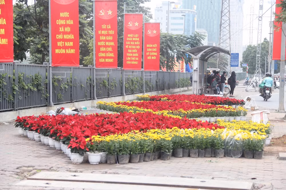 Các chậu hoa đã sẵn sàng khoe sắc chào mừng Đại Hội Đại biểu toàn quốc lần thứ XII.