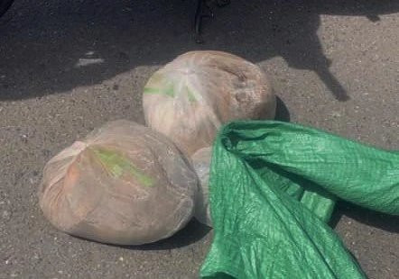 Bat nguoi phu nu van chuyen 2 ca the te te quy hiem