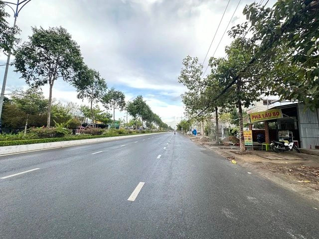 Loat dia phuong bao cao goi thau vu Cay xanh Cong Minh