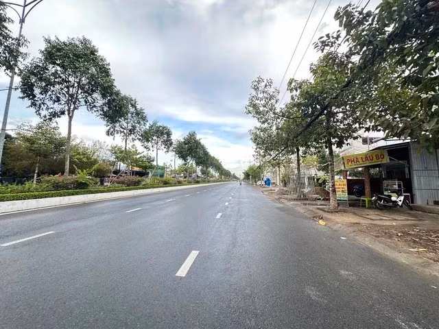 Loat dia phuong bao cao goi thau vu Cay xanh Cong Minh