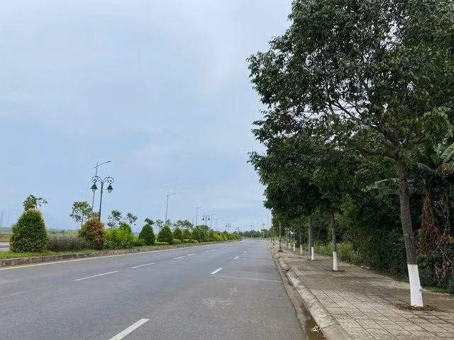 Loat dia phuong bao cao goi thau vu Cay xanh Cong Minh-Hinh-2