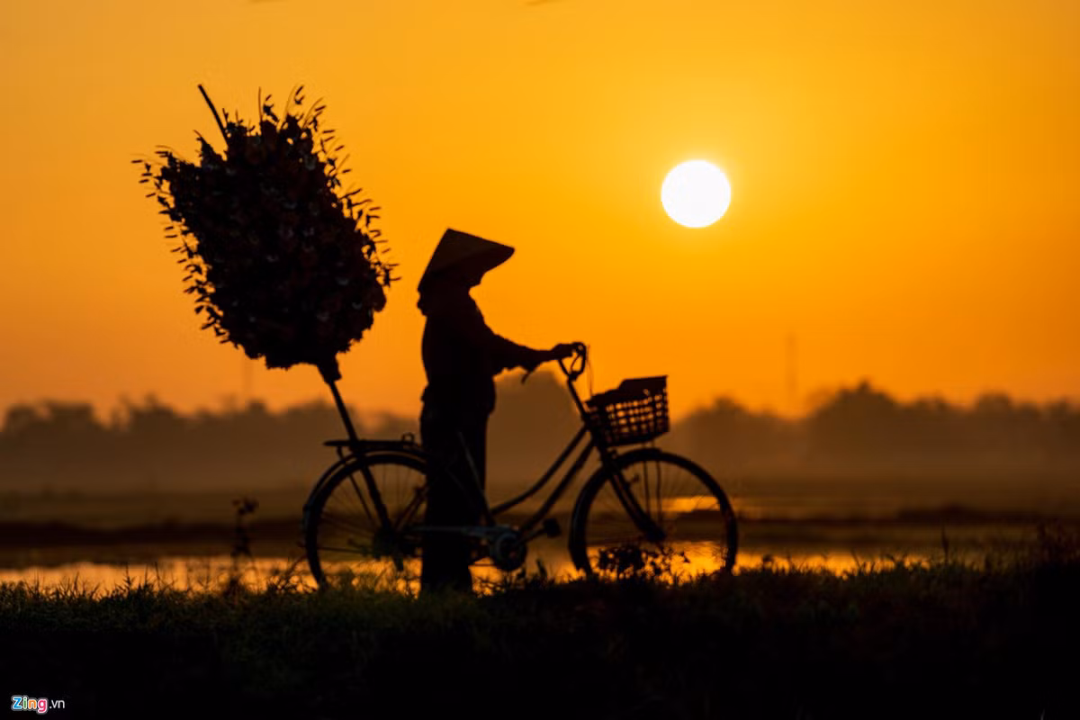 Hinh anh doc dao ve lang hoa giay lau doi o Hue-Hinh-24