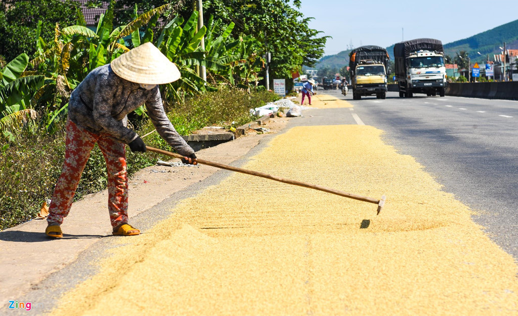"Dẫu biết rằng phơi lúa trên quốc lộ 1 gặp nhiều nguy hiểm nhưng nếu không mang lên đường thì chúng tôi không biết phơi ở đâu bây giờ", bà La nói.