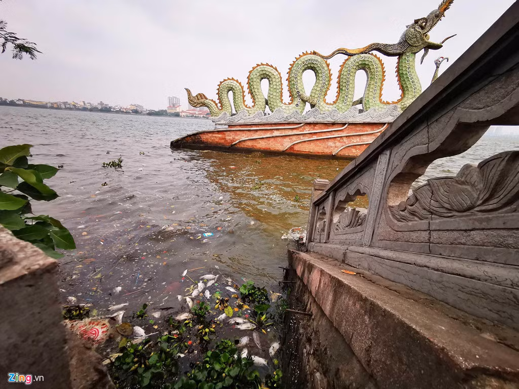 Sáng 8/4, người dân ven bờ hồ Tây đoạn từ phố Trích Sài đến công viên nước phát hiện vô số xác cá chết nổi ven bờ.