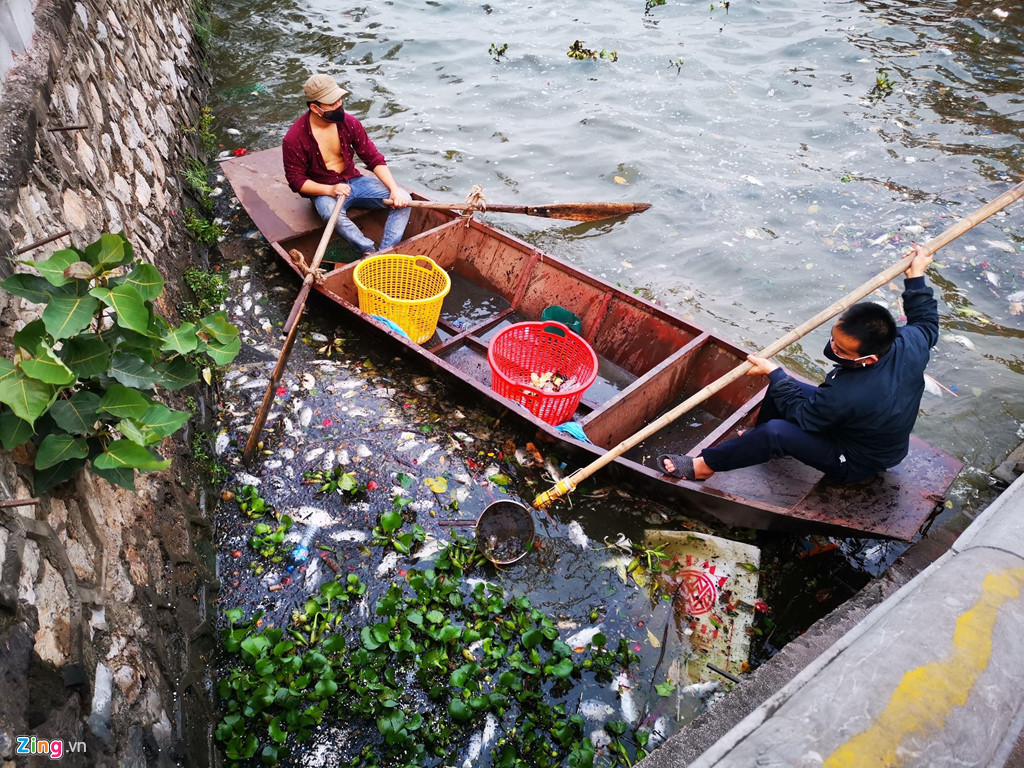 17h, lực lượng gom vớt cá vẫn làm việc. Một số người dân cũng tham gia vớt xác cá về làm phân bón.