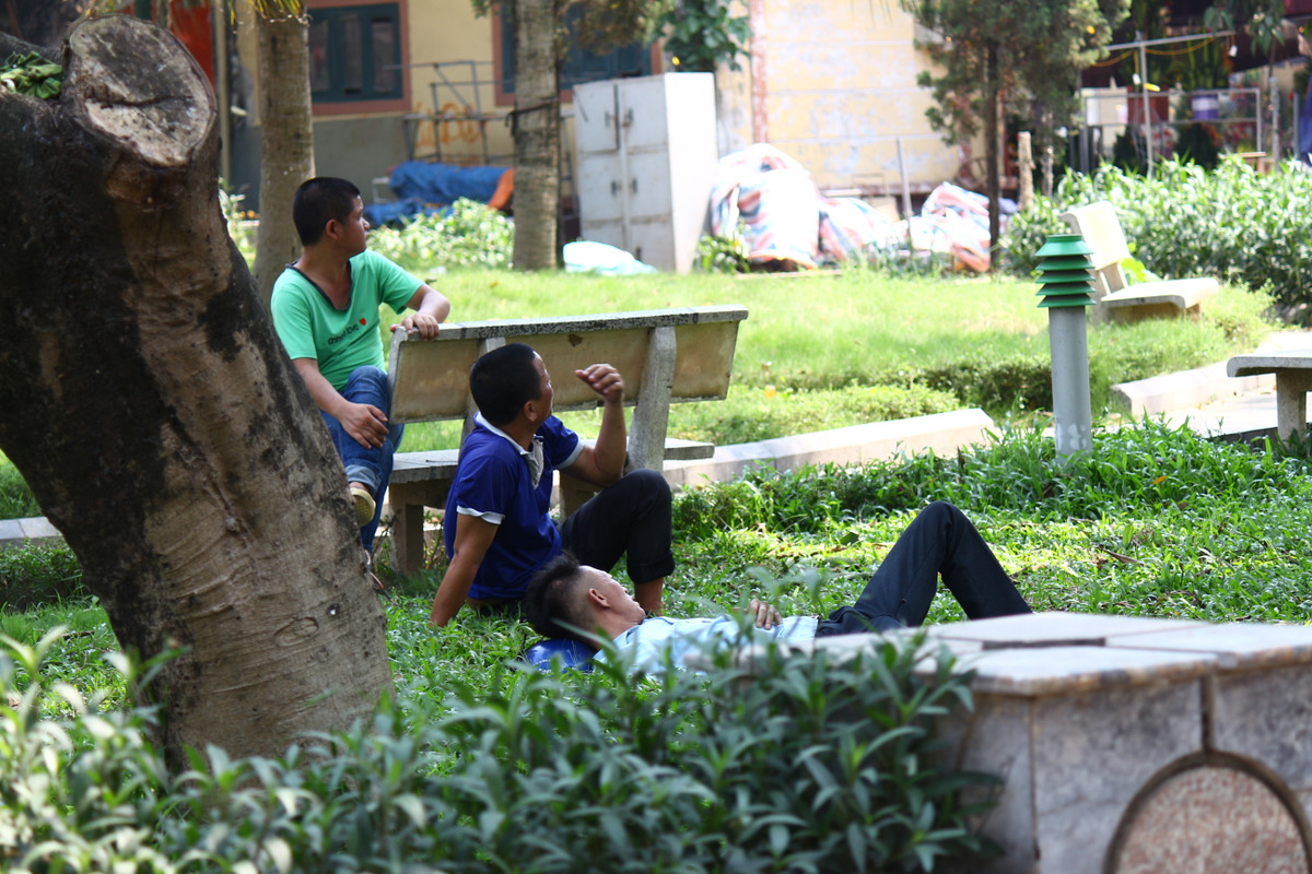 Xe ôm và những người lao động tự do tranh thủ nghỉ trưa dưới bóng mát của Vườn Hoa Hà Đông.