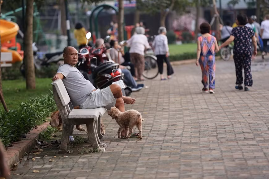 Các loại chó được thả rông bất kể thời điểm trong ngày với đủ kích cỡ, chủng loại. (Ảnh: Minh Sơn/Vietnam+)