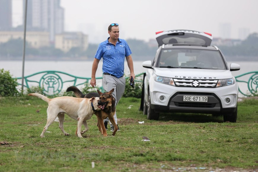 Ha Noi: Cho van duoc tha rong bat chap nhieu tai nan chet nguoi-Hinh-8