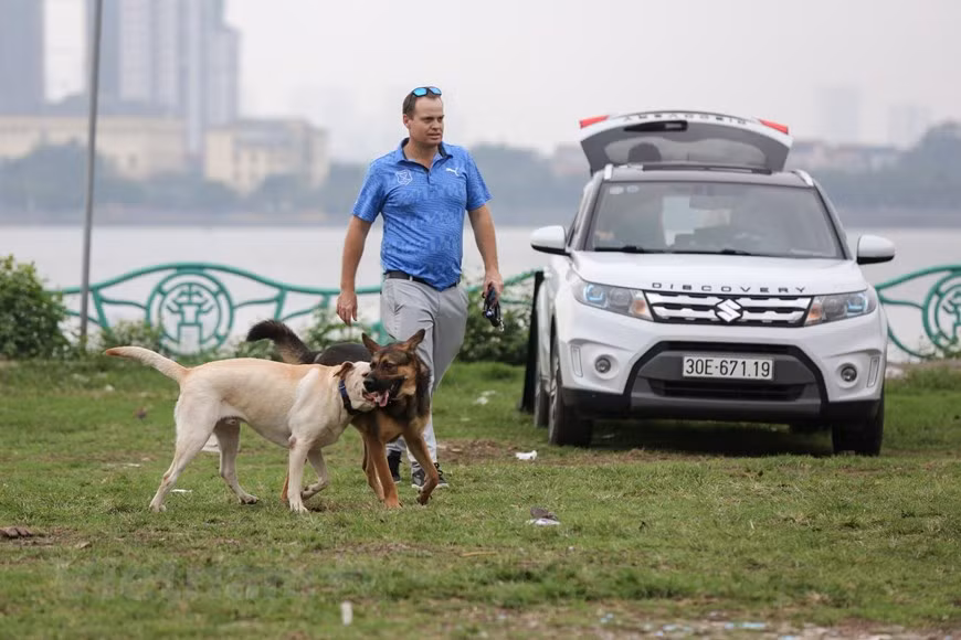 Những con chó cảnh nhưng cũng có thể gây nguy hiểm từ những phát cắn tưởng chừng như nhỏ. (Ảnh: Minh Sơn/Vietnam+)