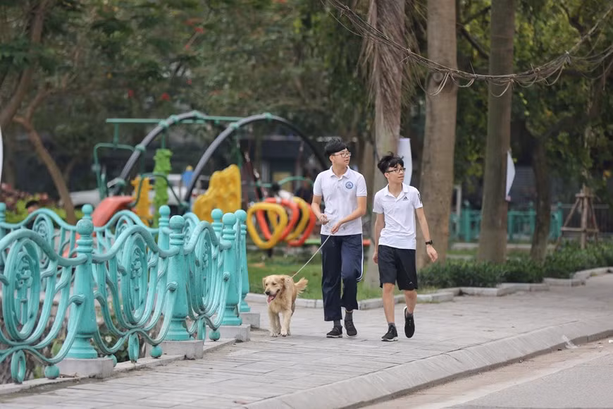Tại nhiều nơi, người dân vẫn thản nhiên dắt đủ loại chó đi dạo mà không được thực hiện bất cứ biện pháp đảm bảo an toàn nào. (Ảnh: Minh Sơn/Vietnam+)