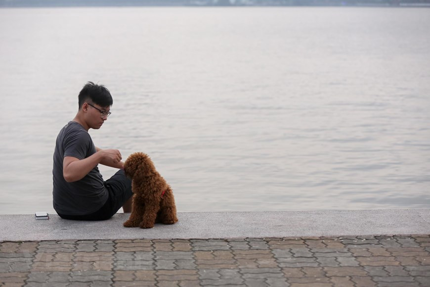 Sẽ không thể lường trước được chuyện gì sẽ xảy ra nếu những con chó bỗng dưng 'nổi điên'. (Ảnh: Minh Sơn/Vietnam+)