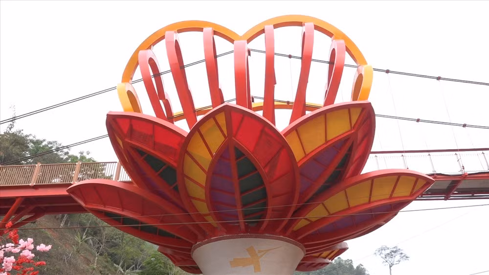 Can canh cay cau tinh yeu bang kinh trong suot dau tien o Viet Nam-Hinh-3