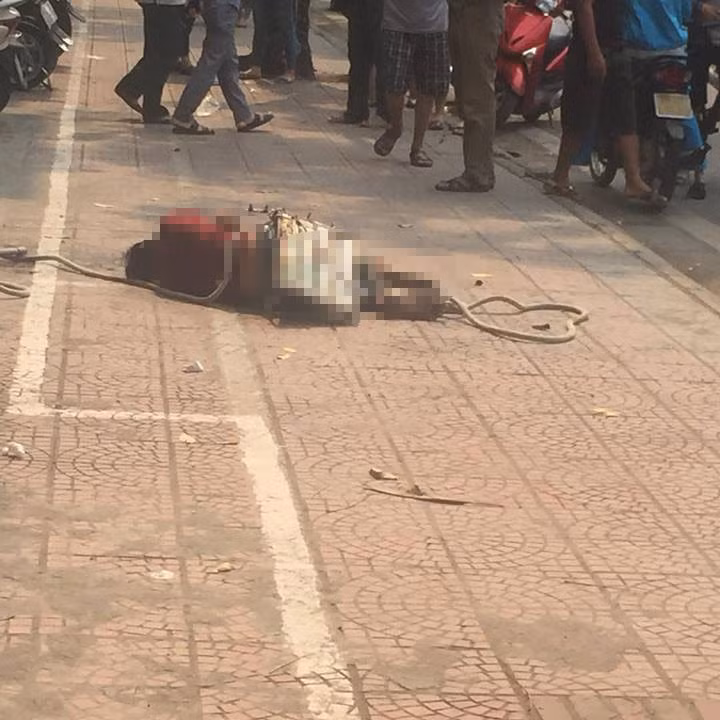 Sua dieu hoa, nam thanh nien roi xuong dat tu vong-Hinh-2