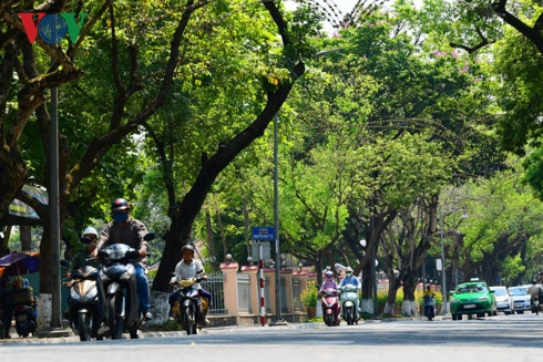 Nhiệt độ ngoài trời vào lúc 12h tại Huế là 41 độ do sự cộng hưởng từ mặt đường nhựa hắt lên.