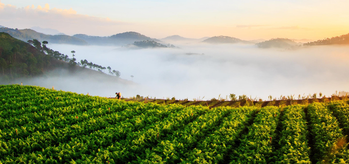 Khung cảnh huyền ảo tựa chốn thiên đường