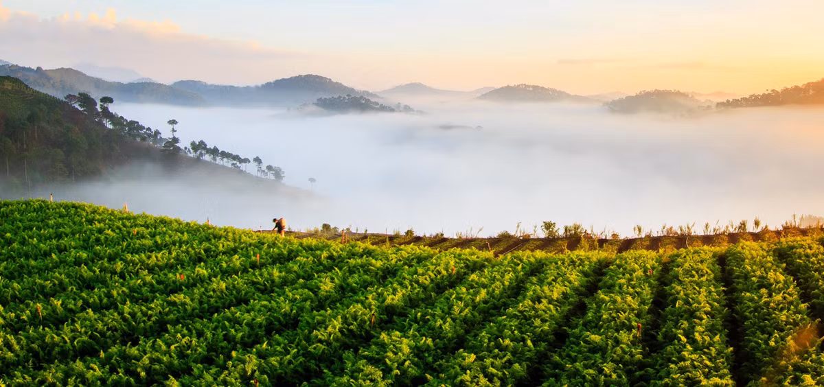 Khung cảnh huyền ảo tựa chốn thiên đường