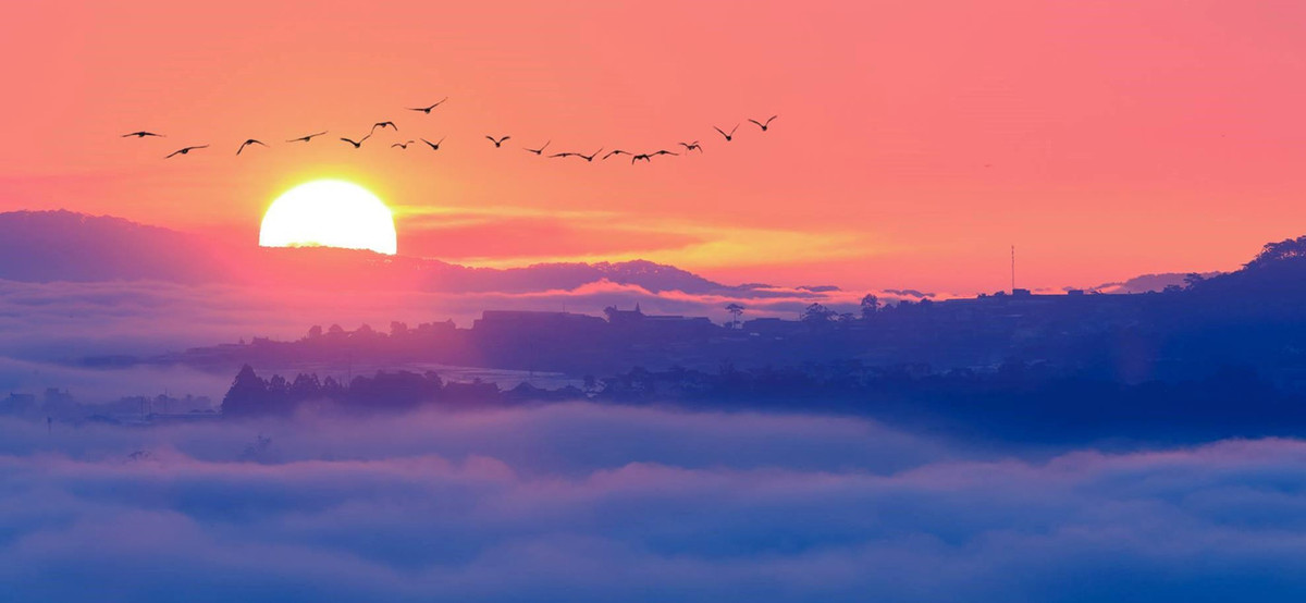 Tìm đến một điểm nhìn có thể ngắm toàn thành phố từ trên cao, bạn sẽ được chiêm ngưỡng khung cảnh Đà Lạt huyền ảo hơn bao giờ hết.