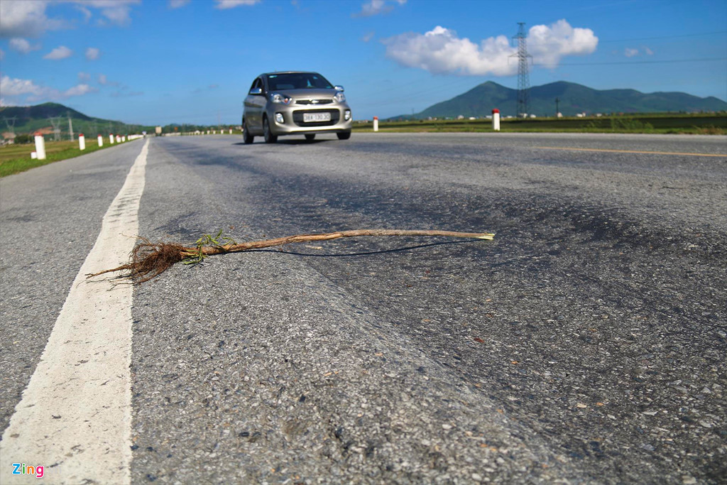 Dự án nâng cấp, mở rộng quốc lộ 1 đoạn đường tránh thị xã Kỳ Anh dài 33 km, được đầu tư hơn 1.200 tỷ đồng, do Ban quản lý dự án An toàn giao thông (Bộ GTVT) làm chủ đầu tư cũng xuất hiện tình trạng hư hỏng, sụt lún tương tự.