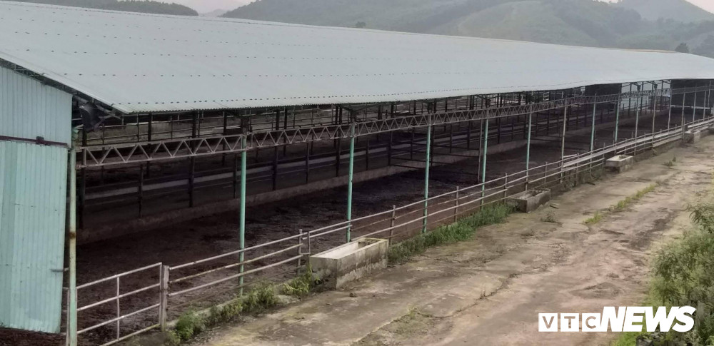 Dan bo hon 40.000 con khien cha con ong Tran Bac Ha bi bat gio o dau?-Hinh-6