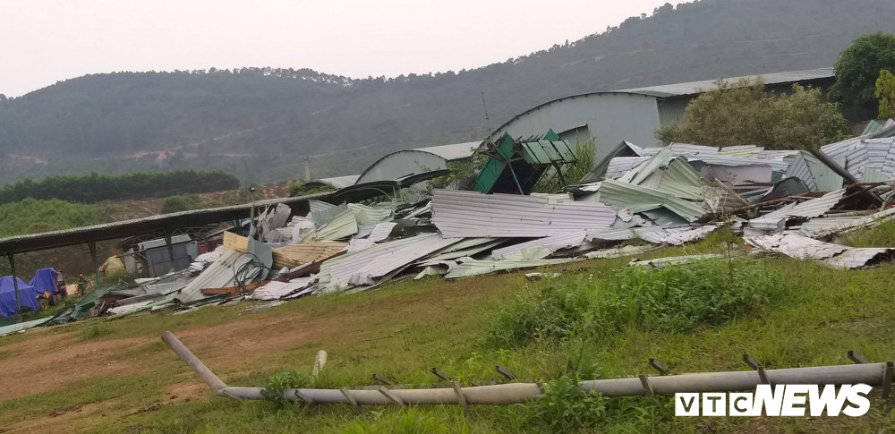 Dan bo hon 40.000 con khien cha con ong Tran Bac Ha bi bat gio o dau?-Hinh-5