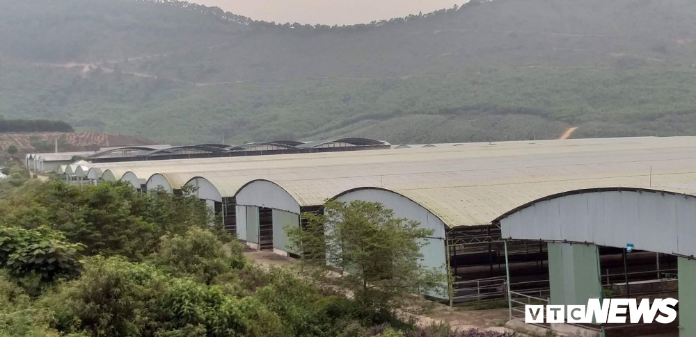 Dan bo hon 40.000 con khien cha con ong Tran Bac Ha bi bat gio o dau?-Hinh-4